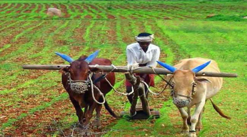 त्रिवेंद्र रावत सरकार प्रधानमंत्री किसान सम्मान निधि से करेगी लाभान्वित, करीब आठ लाख किसान परिवारों को मिलेगा लाभ