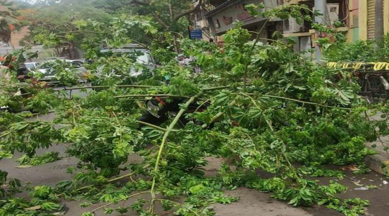 गुजरात और मुंबई पर तूफान का कहर, 70 किमी की रफ्तार, उखड़े पेड़