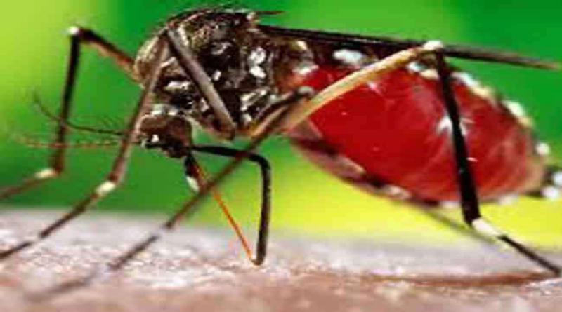 डेंगू से बचाव को घर-घर जाएगा स्वास्थ्य महकमा