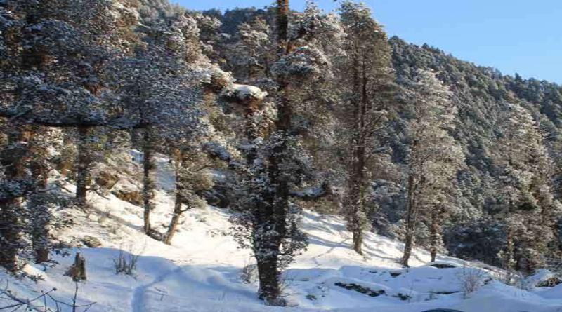 उत्तराखंड में बादलों का डेरा, केदारनाथ और बद्रीनाथ में हुई बर्फबारी