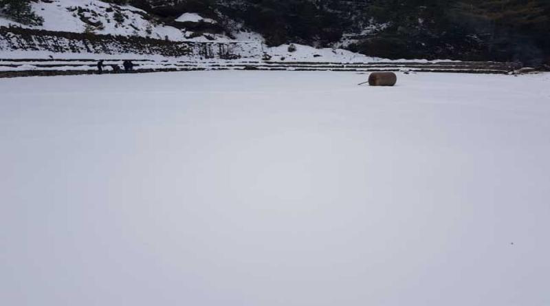 उत्तराखंड में बर्फबारी और बारिश की वजह से,बिजली के उत्पादन में आई जबरदस्त गिरावट