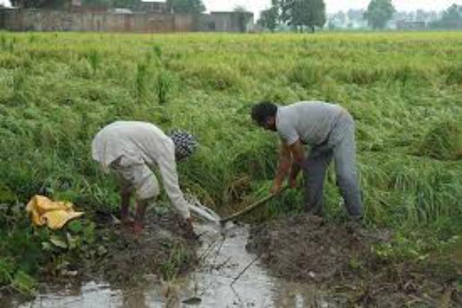 देवभूमि उत्तराखंड के किसानों को मिल सकेंगे फसलों के बेहतर दाम