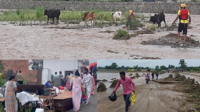 चंद्रभागा उफान पर : खाली कराए लोगों से घर, टापू पर फंसे मवेशियों को SDRF ने निकाला