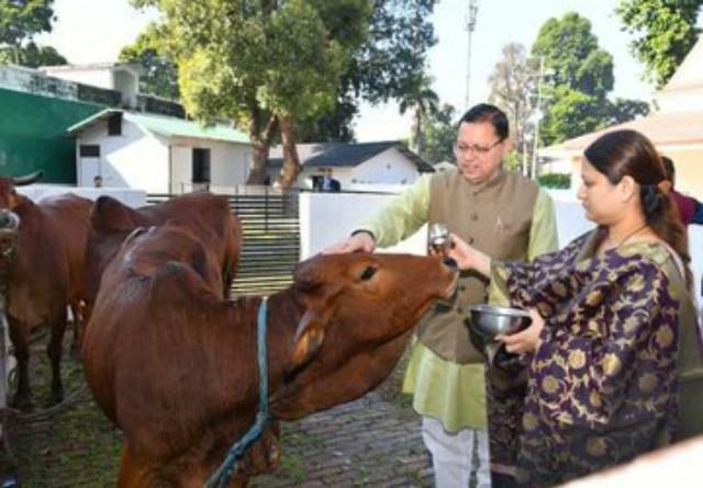 सीएम धामी ने की गौ माता की पूजा