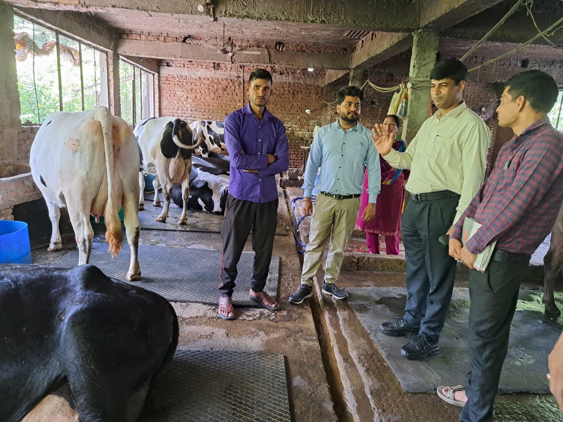 नेशनल कोऑपरेटिव डेवलपमेंट कॉरपोरेशन (एनसीडीसी) योजना के तहत किसानों को डेयरी व्यवसाय से जोड़ रहा डेयरी विकास विभाग