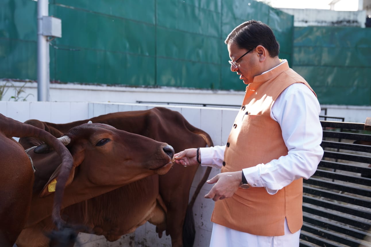 मुख्यमंत्री धामी ने किया गायों का पूजन, प्रदेशवासियों के लिए की सुख-समृद्धि व खुशहाली की कामना