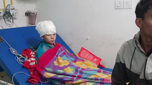 देहरादून में 12 साल के बच्चे पर गुलदार ने किया हमला, अस्पताल में भर्ती
