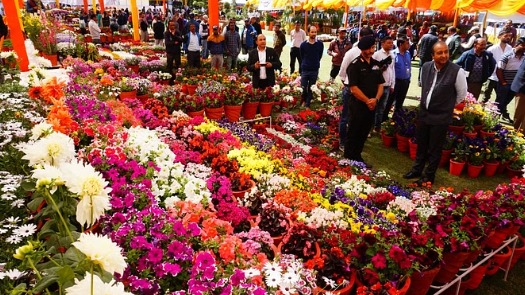 एक मार्च से राजभवन में वसंत की बहार और सजेगा खूबसूरत फूलों का संसार