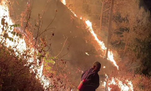 पौड़ी के जंगलों की आग बाल संरक्षण गृह तक पहुंची