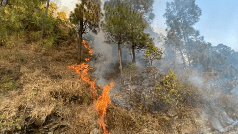 उत्तराखंड में वनाग्नि नियंत्रण की तैयारी, 13 फरवरी को होगी मॉक ड्रिल