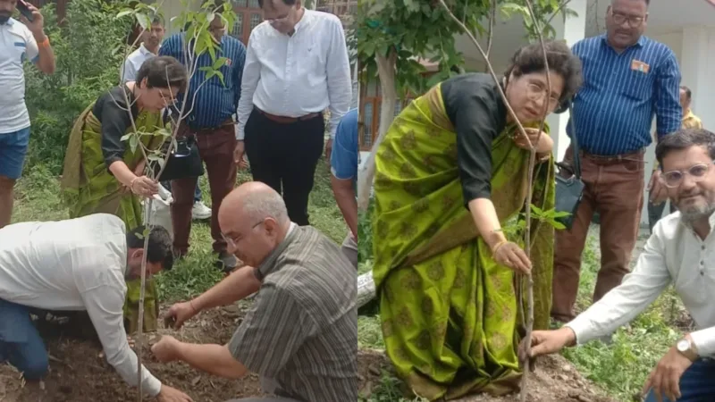 उत्तराखंड में पर्यावरण दिवस पर स्वास्थ्य महानिदेशालय ने चलाया स्वच्छता व प्लास्टिक मुक्त पर्यावरण अभियान