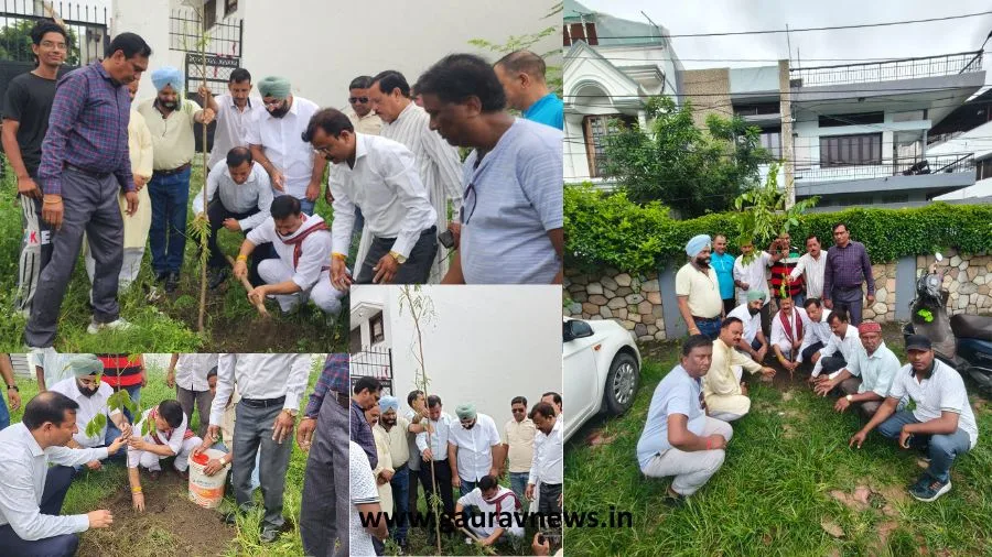 देहरादून में कांग्रेस अध्यक्ष करन माहरा ने छात्रों संग मनाया हरेला और किया वृक्षारोपण