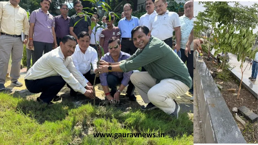 हरेला पर्व पर MDDA का हरित संकल्प, शहर में 60,000 पौधों के रोपण और वितरण का लक्ष्य
