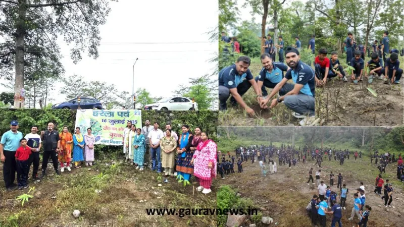 हरेला उत्सव पर खेल विभाग ने खेल वन में लगाया 400 से अधिक पौधों का पौधारोपण