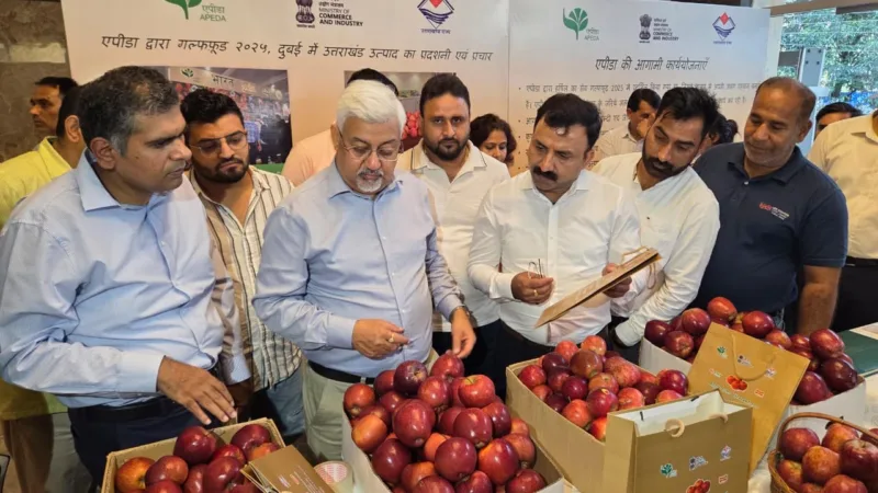 उत्तराखंड से दुबई को सेब निर्यात की शुरुआत, देहरादून से 1.2 मीट्रिक टन की पहली खेप रवाना