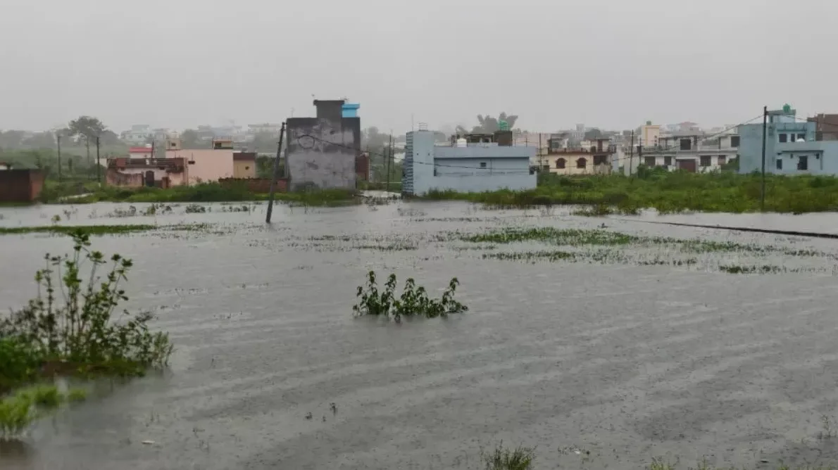 रायवाला में तीन दिन की बारिश से जलभराव, ग्रामीणों की बढ़ी मुसीबत