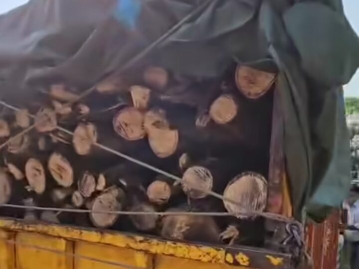 देहरादून में आधी रात अवैध लकड़ी तस्करी का भंडाफोड़, फॉरेस्ट विभाग ने पिकअप जब्त की