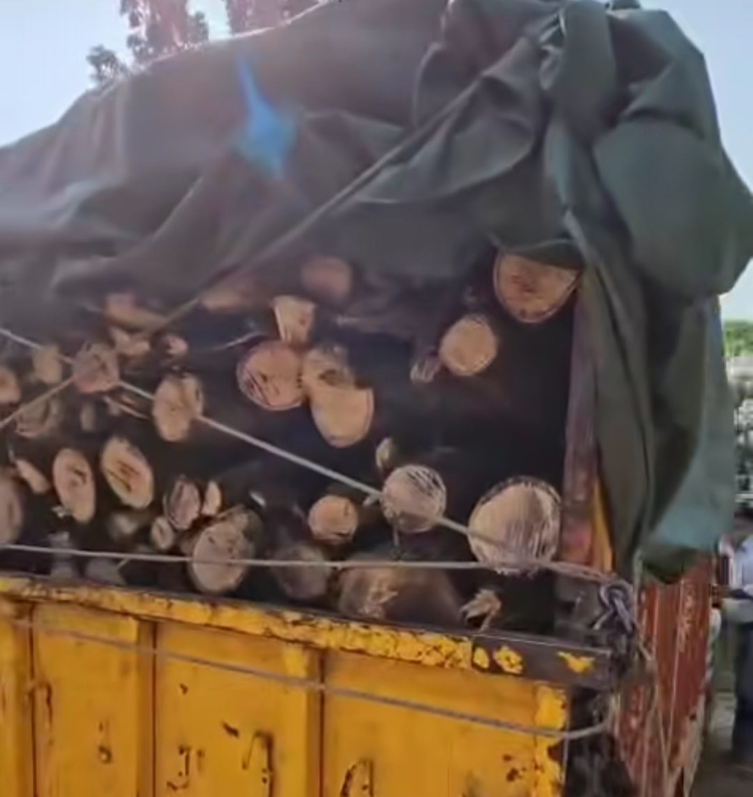 देहरादून में आधी रात अवैध लकड़ी तस्करी का भंडाफोड़, फॉरेस्ट विभाग ने पिकअप जब्त की