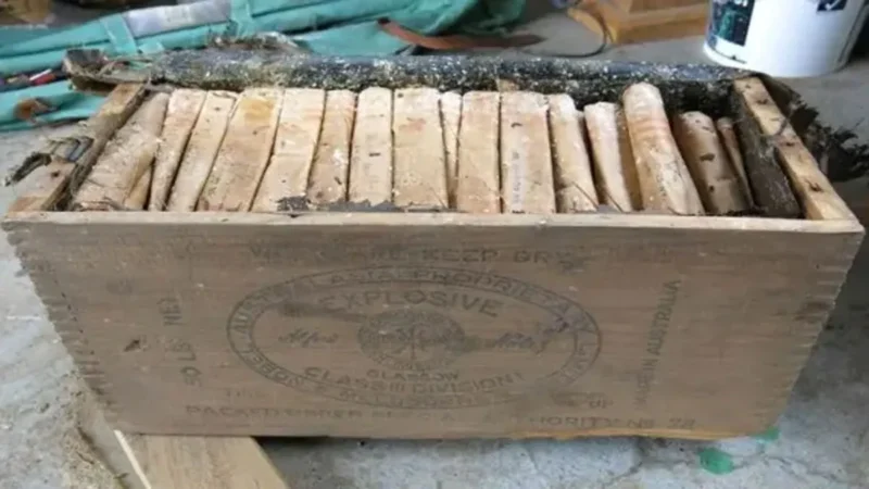 अल्मोड़ा : स्कूल के पास विस्फोटक मिलने का मामला सुलझा, एक गिरफ्तार