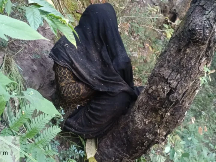 चमोली: घास काटने गई महिला लापता होने के बाद जंगल से जीवित मिली; खून के निशान और बिखरे सामान से फैली दहशत