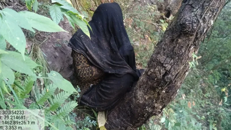 चमोली: घास काटने गई महिला लापता होने के बाद जंगल से जीवित मिली; खून के निशान और बिखरे सामान से फैली दहशत