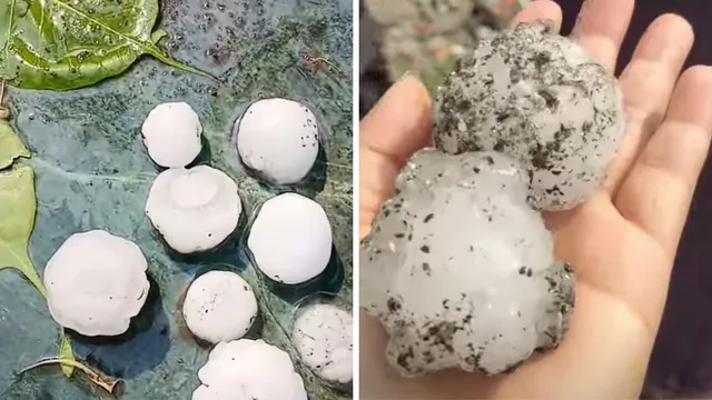 पिथौरागढ़ में कहर बनी ओलावृष्टि, 200 ग्राम तक के ओलों ने तोड़े वाहनों के शीशे