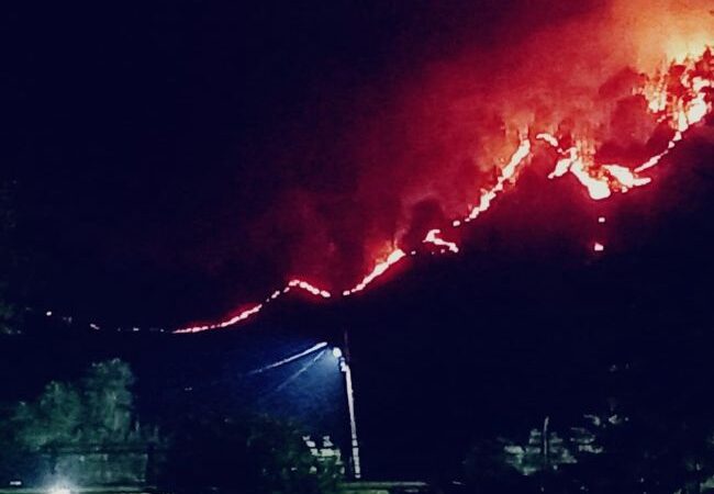 चमोली में लगातार धधक रहे जंगल, वन्यजीव आबादी की ओर आने से बढ़ी चिंता