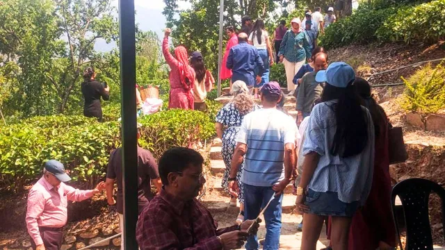मानसून में भी कौसानी के चाय बागान में उमड़े पर्यटक, आठ महीने में लगभग 22000 लोग पहुंचे